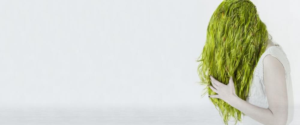 How To Repair Green Hair After Swimming Pool Supplies Canada