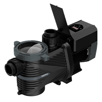 Inground Pool Pumps on Sale at Pool Supplies Canada