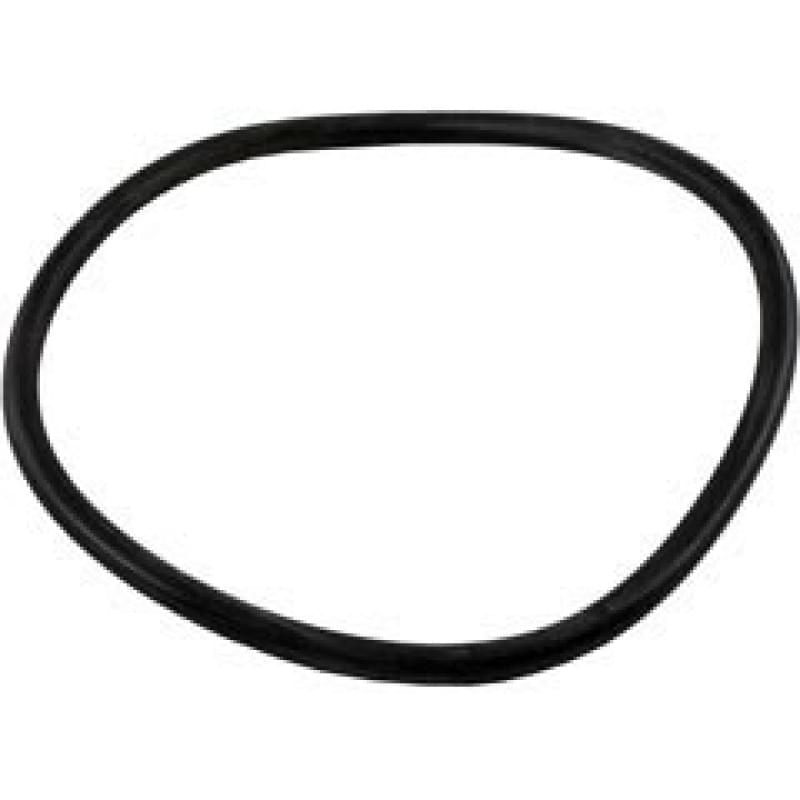 Jandy R0480300 - Back Plate O-Ring, FHP