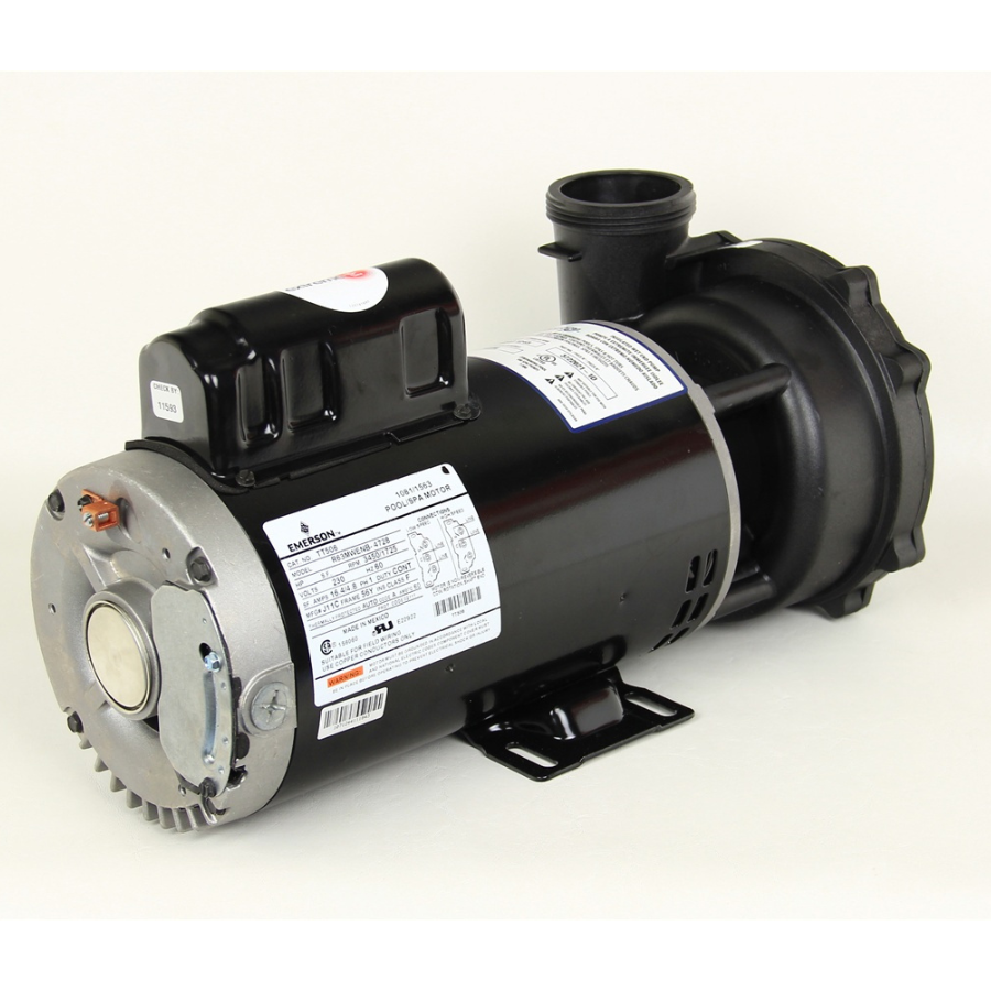 Waterway Executive 5 HP 2 Speed Spa Circulation Pump (2.5 Inch Connections, 240 V)