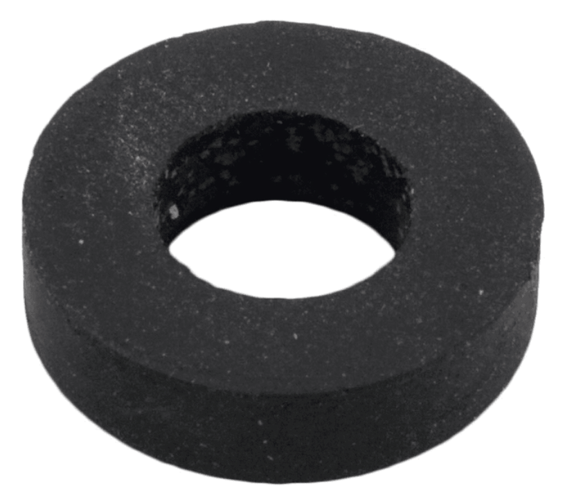 Pentair Rubber Washer