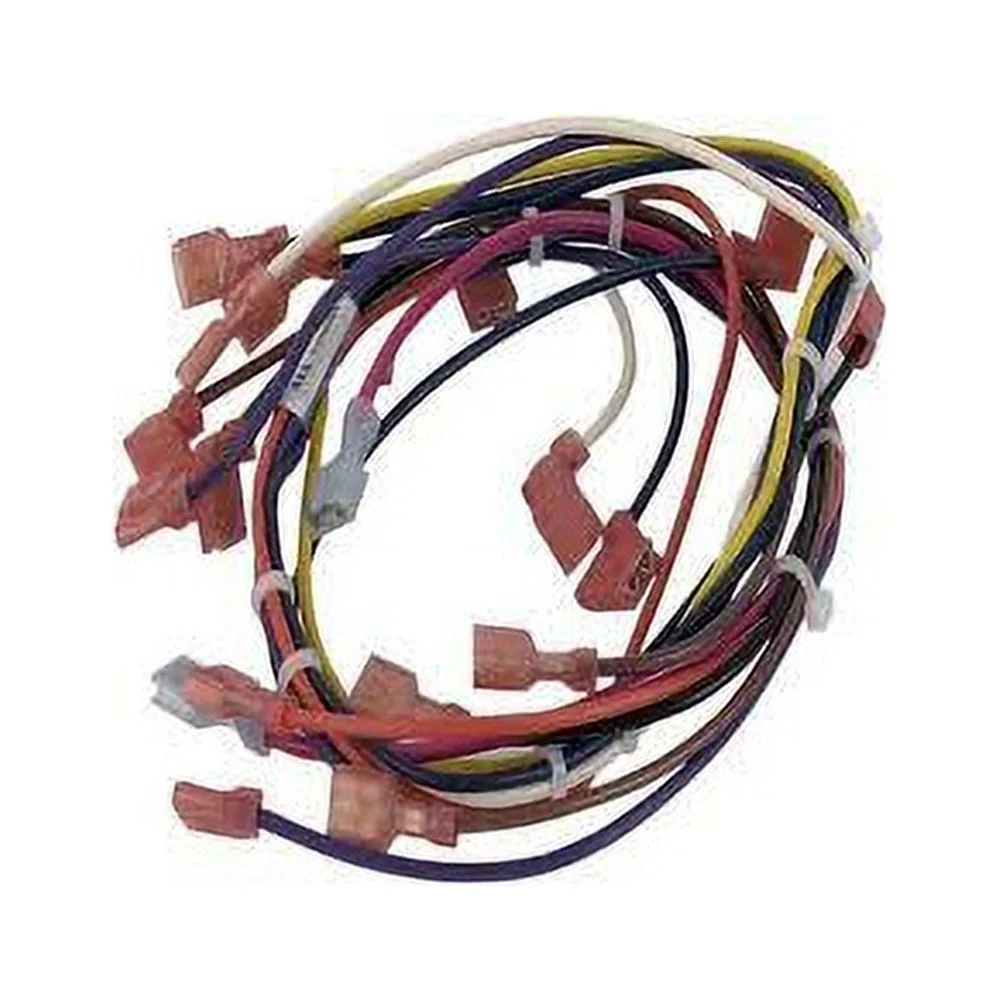 Pentair Harness Wire Main 1 Phase