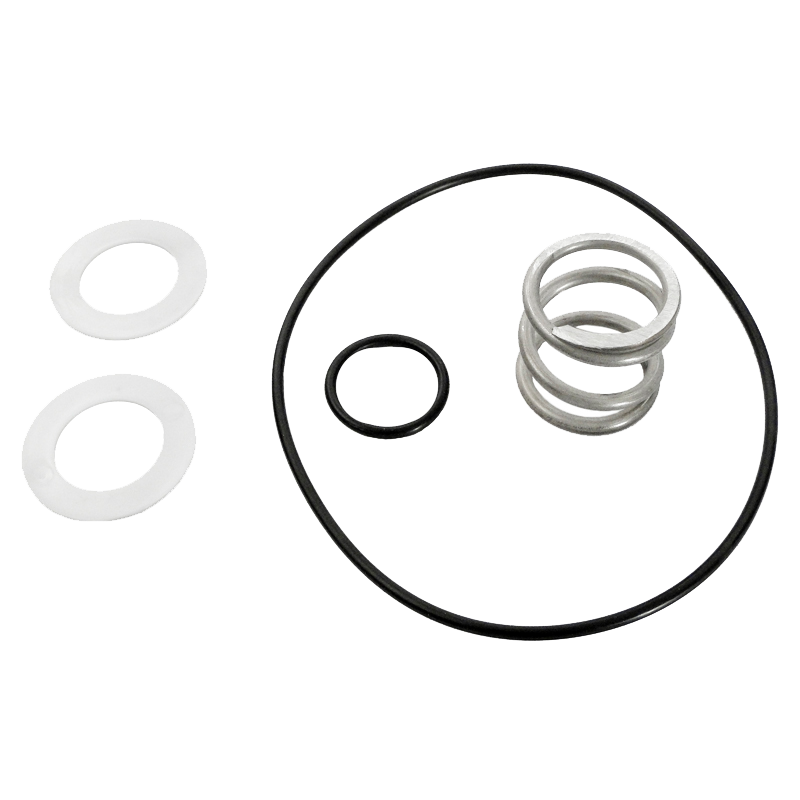 Pentair 149620035 - Trousse de ressorts et joints toriques