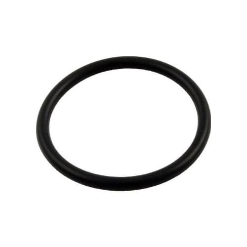 Pentair/Sta-Rite U9374 - O-Ring | Pool Supplies Canada