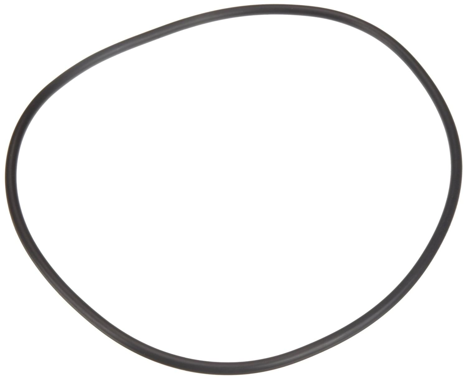 Pentair U9228A - O-Ring | Pool Supplies Canada