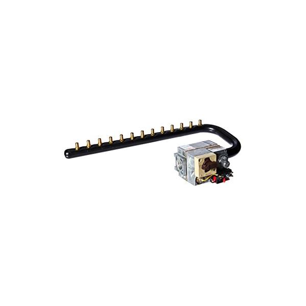 Jandy R0496204 - Manifold Assembly Natural Gas 2-4500 Ft. 325