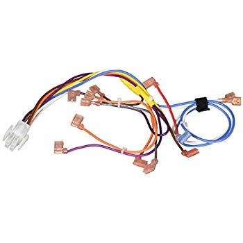 Hayward - IHXWHC1930 - Wire Harness Assembly | Pool Supplies Canada